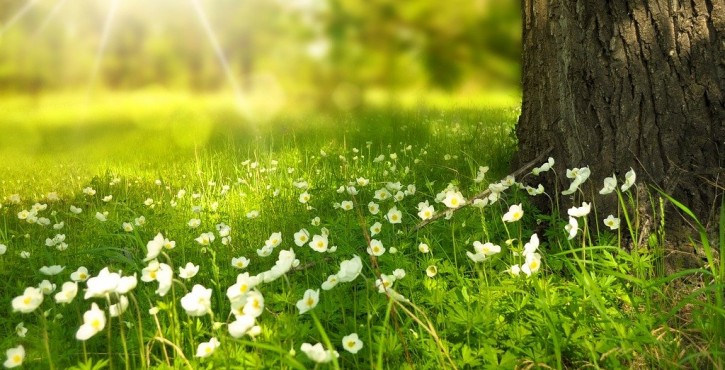 Comment obtenir l’agrément « protection de l’environnement »