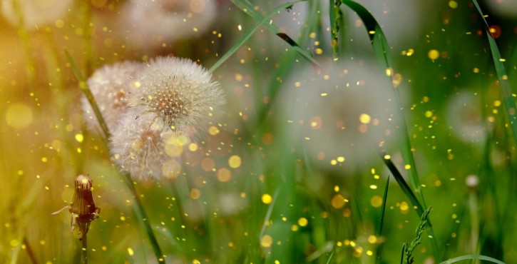 Quel est le régime légal du trafic de stupéfiants ?