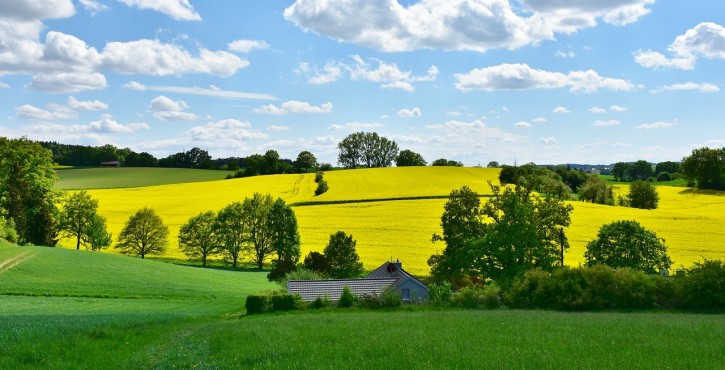 La cession d'un bail rural par le preneur avec l'accord du bailleur