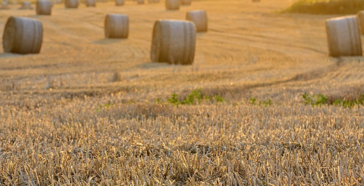Contrôle des sociétés possédant ou exploitant du foncier agricole