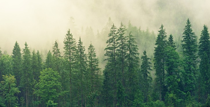 Les aspects juridiques du parc naturel régional du Vercors en lien avec le Diois