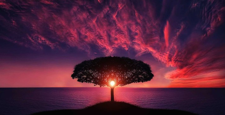 Jérôme CHAMBRON : CV de Précorrecteur BÉNÉVOLE et sincèrement GRATUIT de TD de Capacité en Droit et de Licence de Droit