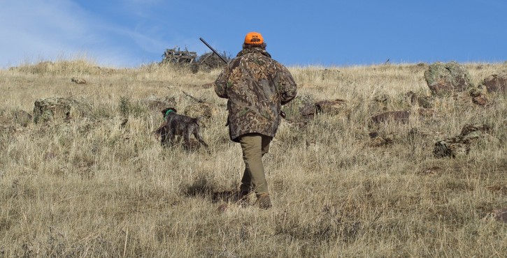 Un propriétaire a-t-il le droit d'interdire la chasse sur ses terres?