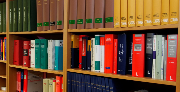 GRATUIT : Droit des sociétés par Maxime BIZEAU