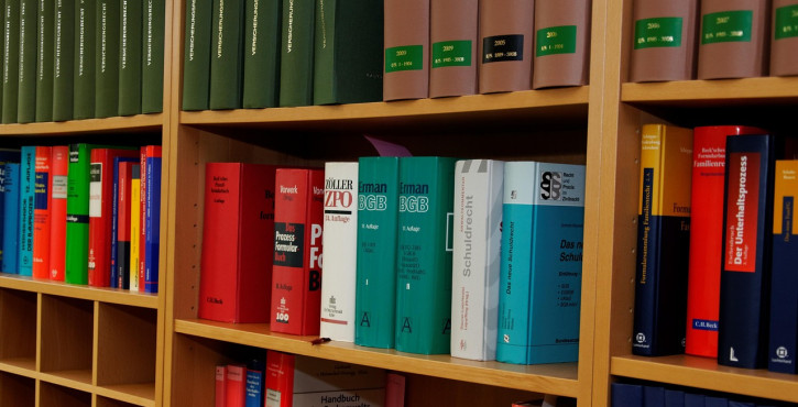 GRATUIT : Droit constitutionnel par Maxime BIZEAU