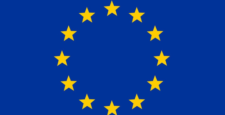 GRATUIT : Droit de l'Union européenne par Maxime BIZEAU