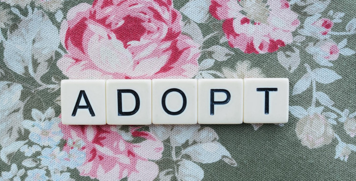 L’adoption plénière : définition, conditions et effets