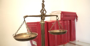 LD1, LD2 et LD3 : MÉGA GRATUITERIE POUR ÉTUDIANTS EN LICENCE DE DROIT : les différentes branches du Droit : le Droit public et le Droit privé
