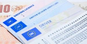 Escroquerie au permis de conduire