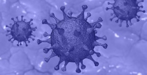 Le Chercheur et le Virus, fable de Cassou