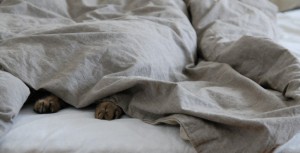 Travail du dimanche : attention au respect du repos hebdomadaire fixé par la convention collective !