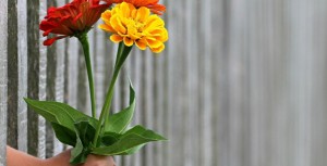 Versement de l'avance de crédit d'impôt mi-janvier (services à la personne)