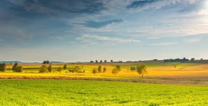 Conséquences de l'absence de publicité en mairie de la décision de préemption de la Safer