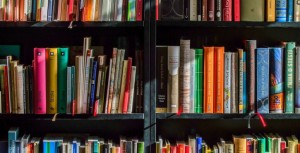 Vente à distance de livres : vers un tarif plancher des frais de livraison