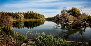 Droit de l'environnement : avocats plus de la documentation juridique