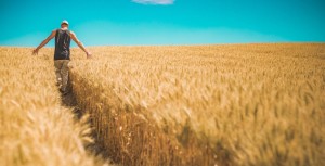 Le bail rural verbal : essayons de faire le tour de la question