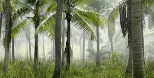 Contester une refus de subvention (association) ➔