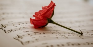 COMMENT SONT GÉRÉS LES DROITS DE LA MUSIQUE PAR LA SACEM ?