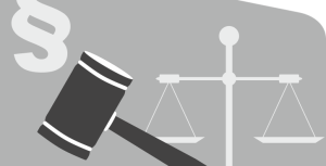 Cours de procédure pénale : notions, définitions, concepts, règles etc