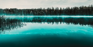 Brefs éléments d'une histoire du droit de l'environnement né vers les années 1970