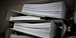 Qu'est-ce que le Conseil économique, social et environnemental ou CESE ?