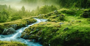 La notion, le concept de bassin versant en droit de l'environnement