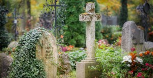 Un exemple de cimetière écologique en France après analyse hydrogéologique