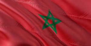 Le droit à la santé au Maroc : Un droit fondamental en quête d'effectivité