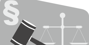 Maxime BIZEAU : fondateur de Fiches-droit.com : enseignant et brillant avocat de formation : présentation de ce merveilleux auteur et enseignant juridique!