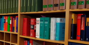 GRATUIT : Droit constitutionnel par Maxime BIZEAU