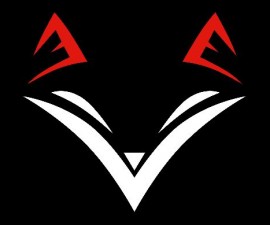 Blog de Fox détectives