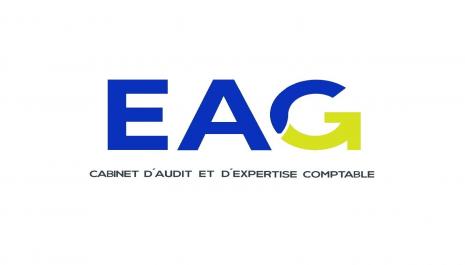 CONSEIL EN GESTION AUX ENTREPRISES