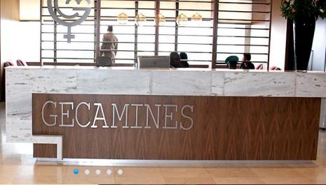 Les Provinces face à la vente des actifs immobiliers de la GECAMINES aux tiers : Quelles réactions ?