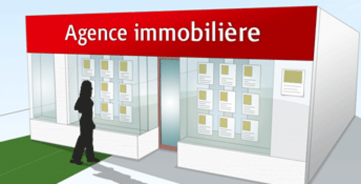 AGENCE IMMOBILIERE : DEVOIR DE CONSEIL ET D’INFORMATION