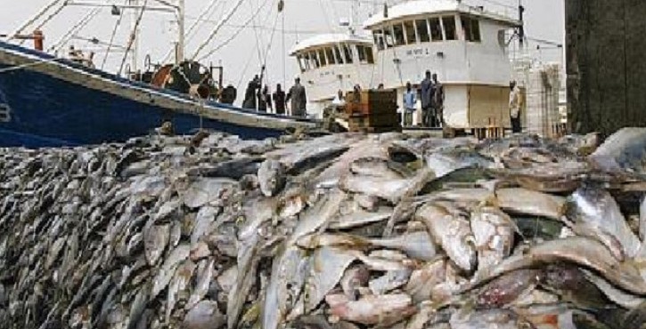 ECONOMIE BLEUE AFRICAINE EN PROIE A LA PECHE ILLEGALE, NON DECLAREE, NON REGLEMENTEE
