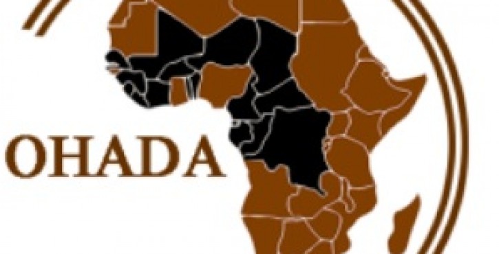 La Jurisprudence de la CCJA sur les Immunités d’Exécution des Sociétés ayant comme seul actionnaire, l’État Congolais au regard de l’article 30 de  l’AUPSRVE : Cas de la Gécamines et de la SNEL
