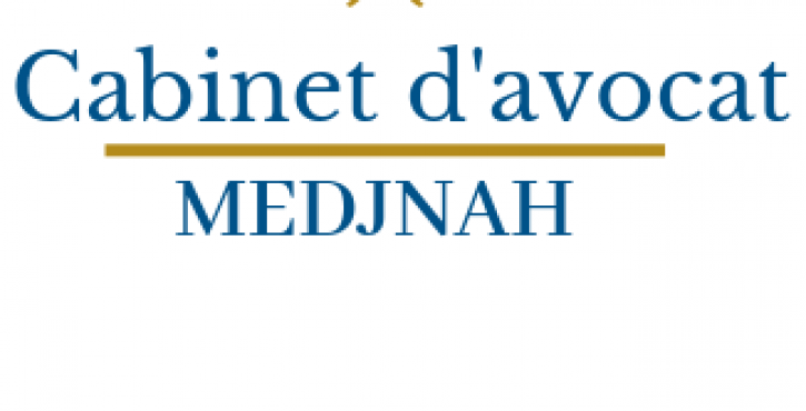 Comment agir face aux décisions d’irrecevabilité, de refus ou  d’ajournement  en matière de naturalisation française ? 