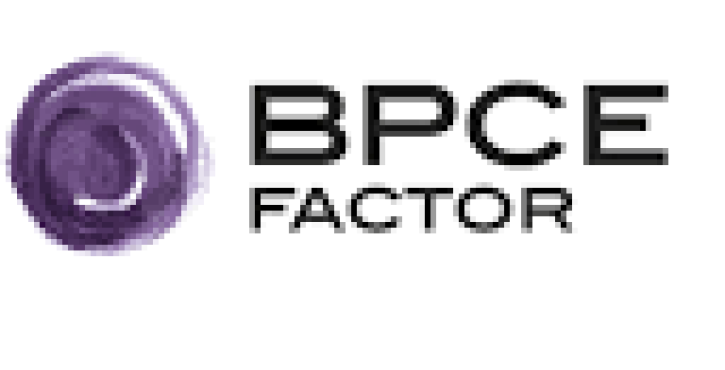 Cautionnement nul d’un dirigeant de société auprès de la banque BPCE FACTOR pour disproportion aux revenus et patrimoine de la caution