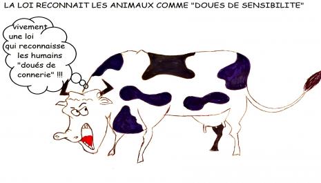 L’encadrement des loyers : Impact pratique