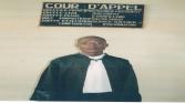 Réflexion sur l'exercice de la profession d'avocat et de défenseur judiciaire en droit congolais