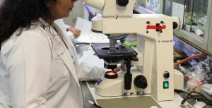 La demande de contre-expertise en droit pénal : à quelle fin ?