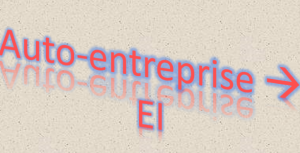 De l’auto-entreprise à l’Entreprise Individuelle (EI) 