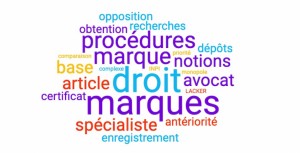 LES 7 NOTIONS CLES DU DROIT DES MARQUES 