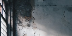TRAVAUX DE RÉNOVATION : RESPONSABILITÉ DÉCENNALE POUR PROPAGATION DE MÉRULE