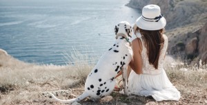 Chute d'un muret à cause d'un chien : qui répond des dommages de la victime ?