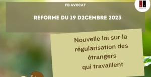 RÉGULARISATION DES ÉTRANGERS SANS-PAPIERS QUI TRAVAILLENT DANS UN MÉTIER OU UNE ZONE GÉOGRAPHIQUE EN TENSION