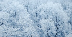 Accident de ski: régime de responsabilité 