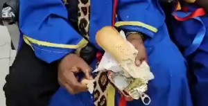 Entre toge froissée, pain sec et sardines à huile : Quand l’État oublie ses obligations envers les professeurs d’université en RDC !