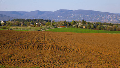 ​Pesticides en Europe : vers une nouvelle réglementation ?